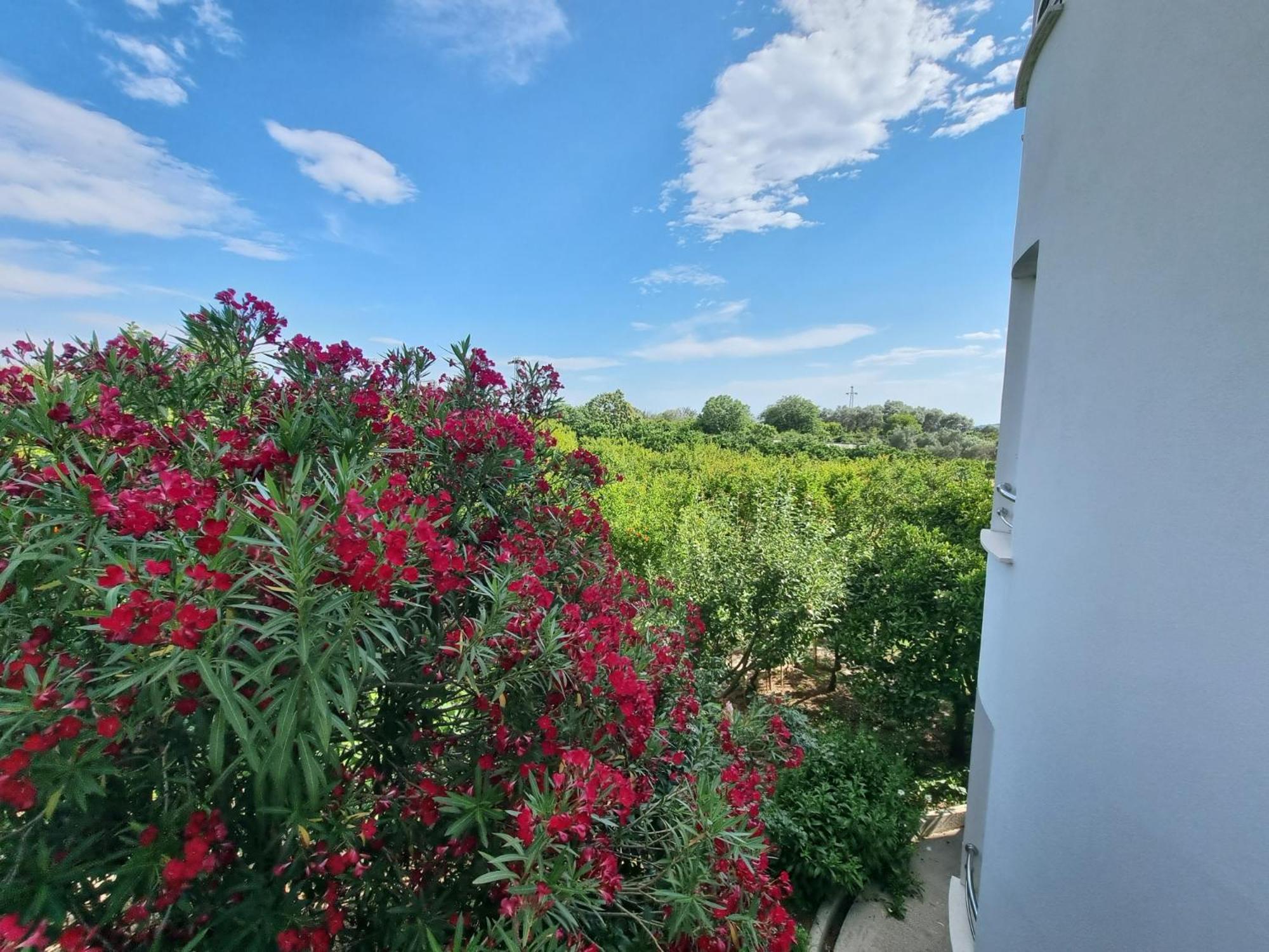 Le Domaine Green Paradise Ulcinj Exteriör bild